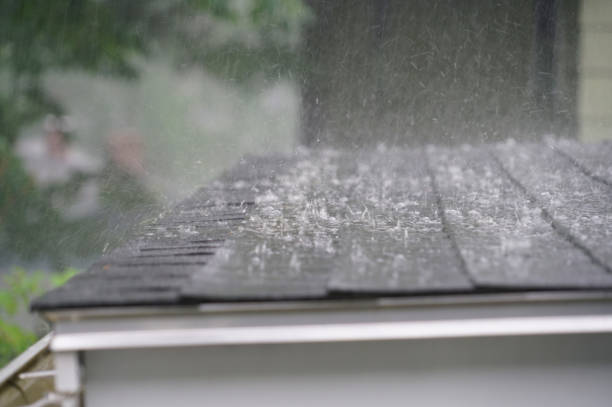 Best Gutter Installation and Repair  in North Braddock, PA